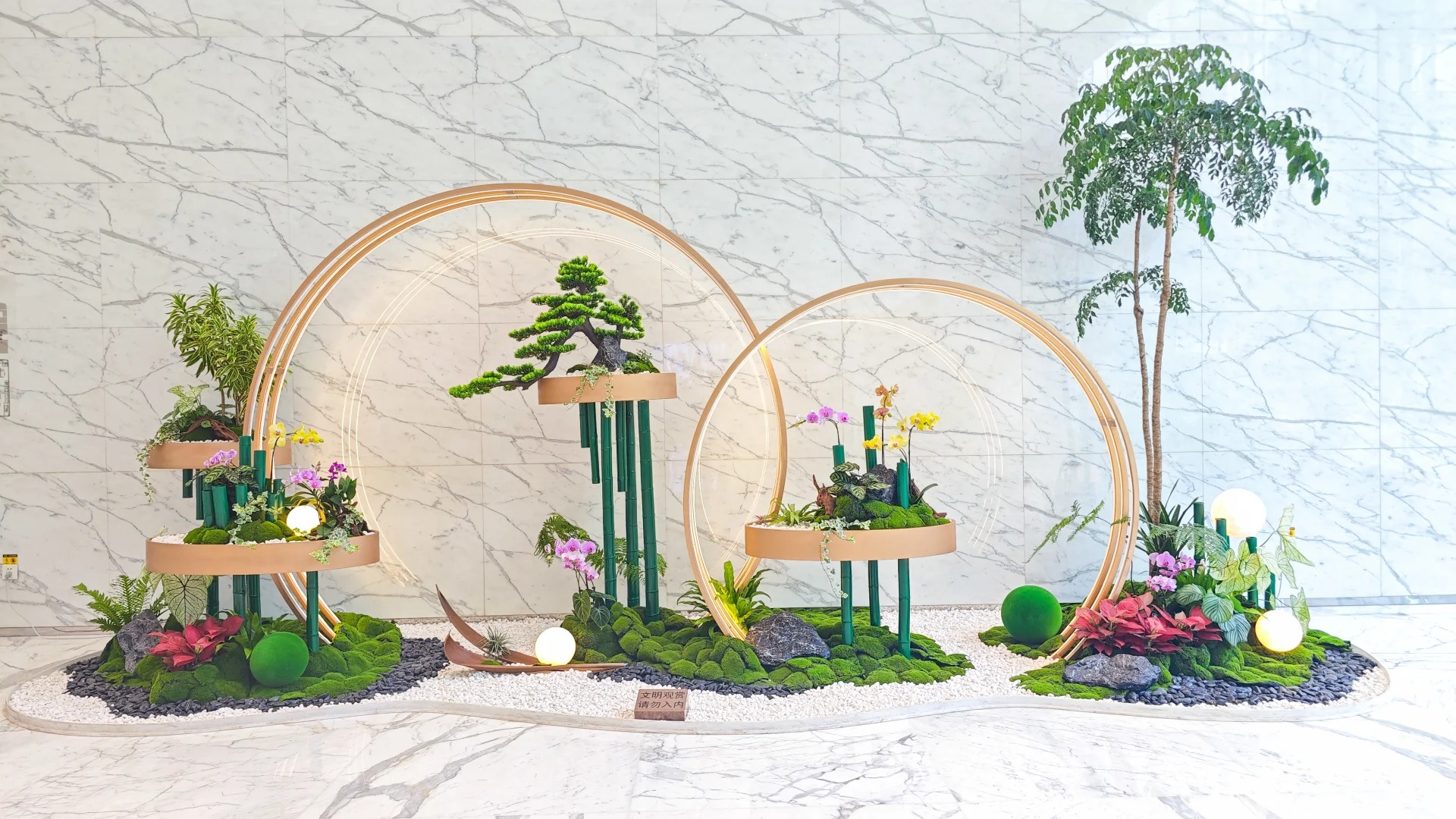 专业花木出租在慈溪，营造独特氛围